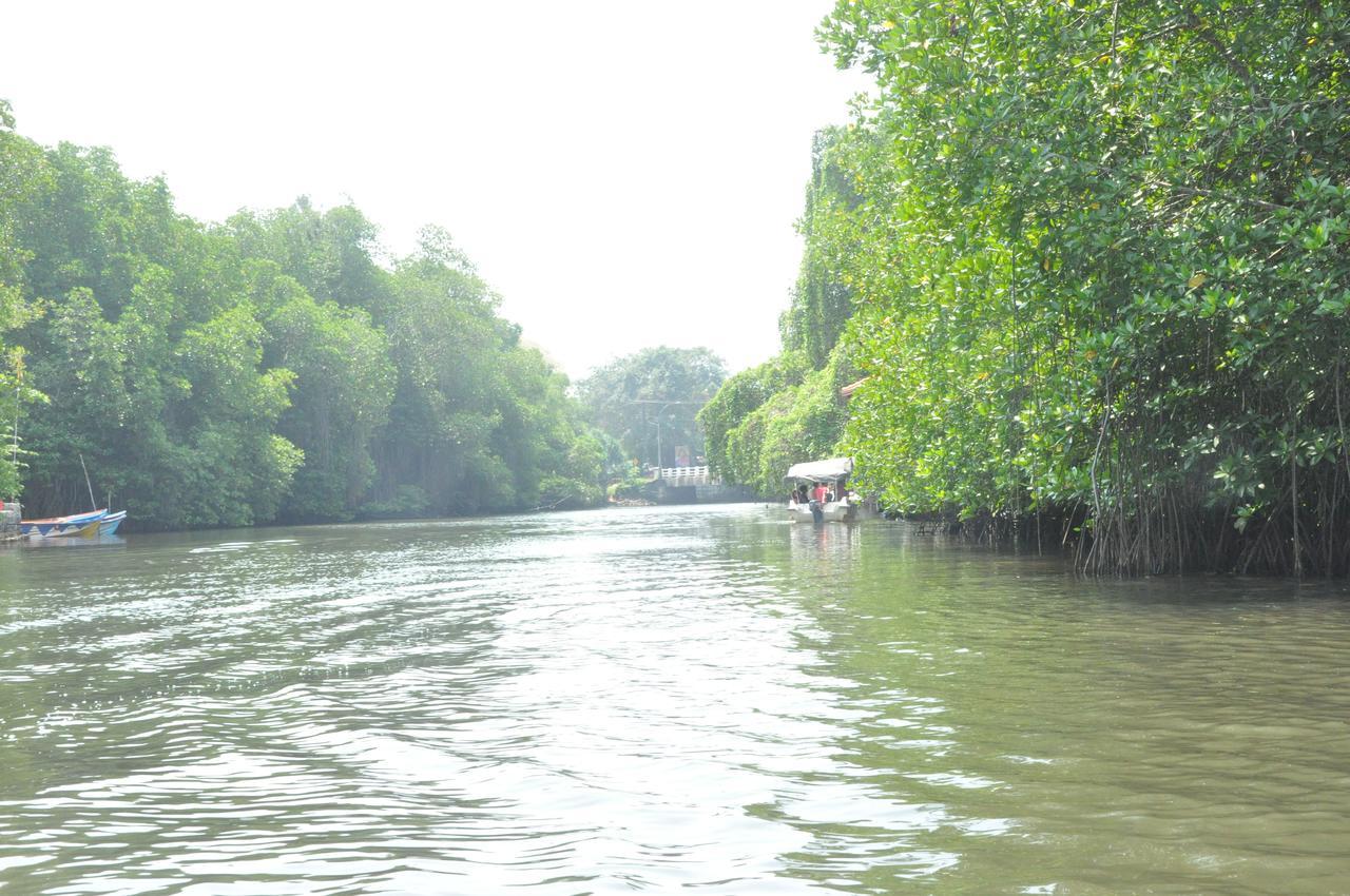 Muthumuni Ayurveda River Resort Aluthgama Exterior photo